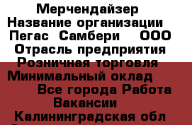 Мерчендайзер › Название организации ­ "Пегас" Самбери-3, ООО › Отрасль предприятия ­ Розничная торговля › Минимальный оклад ­ 23 500 - Все города Работа » Вакансии   . Калининградская обл.,Светловский городской округ 